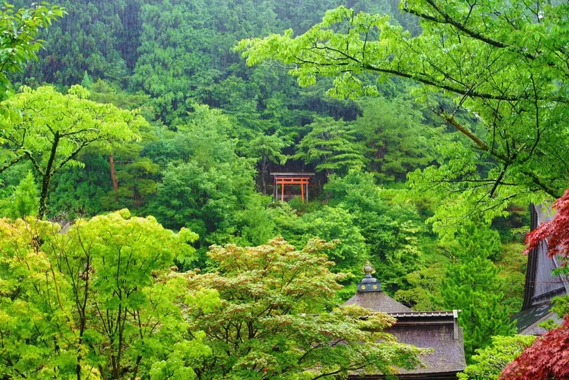 旅行生活 · 时间待考