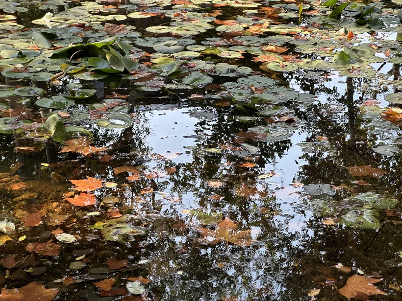 旅行生活 · 2023年11月12日