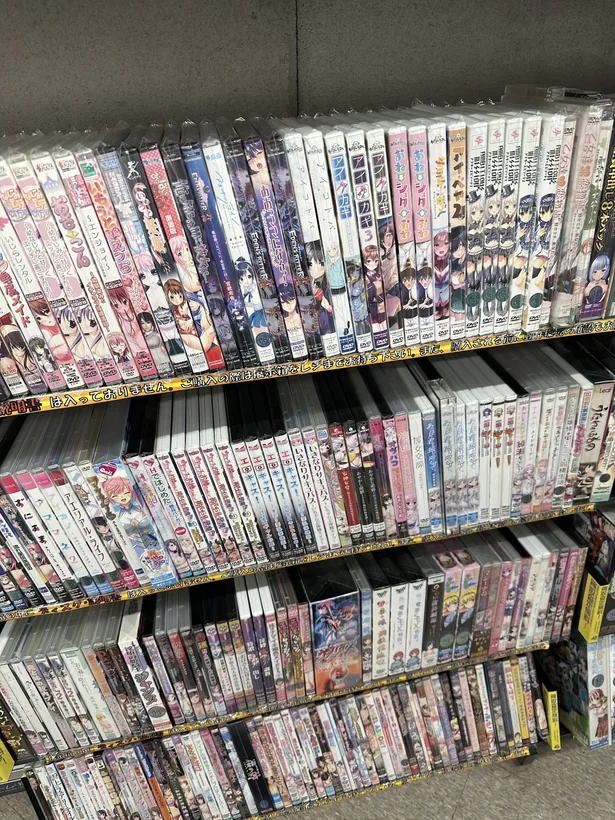 旅行生活 · 2025年7月19日