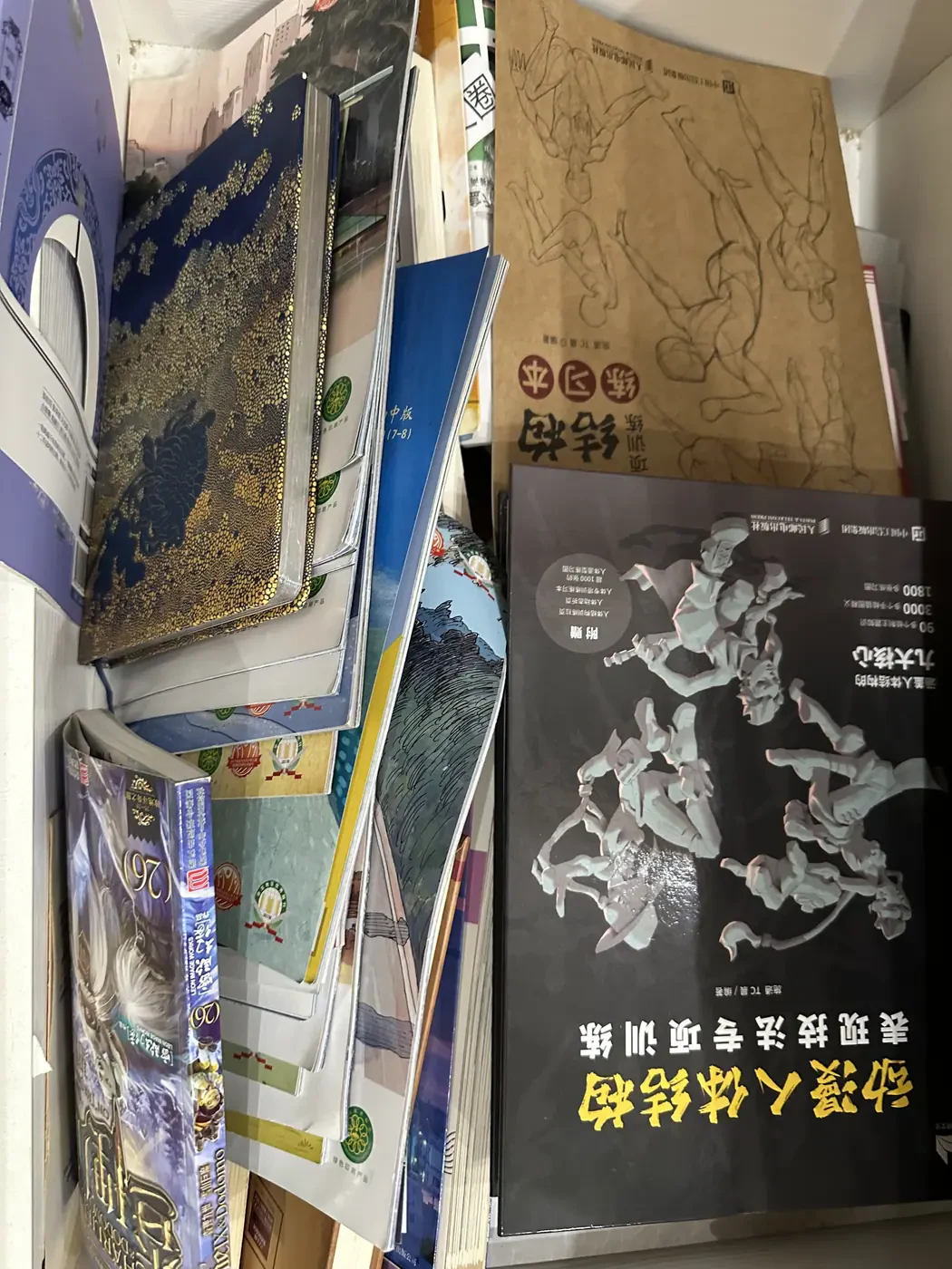 实体藏书一角