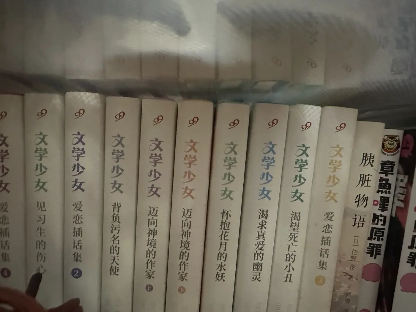实体藏书一角