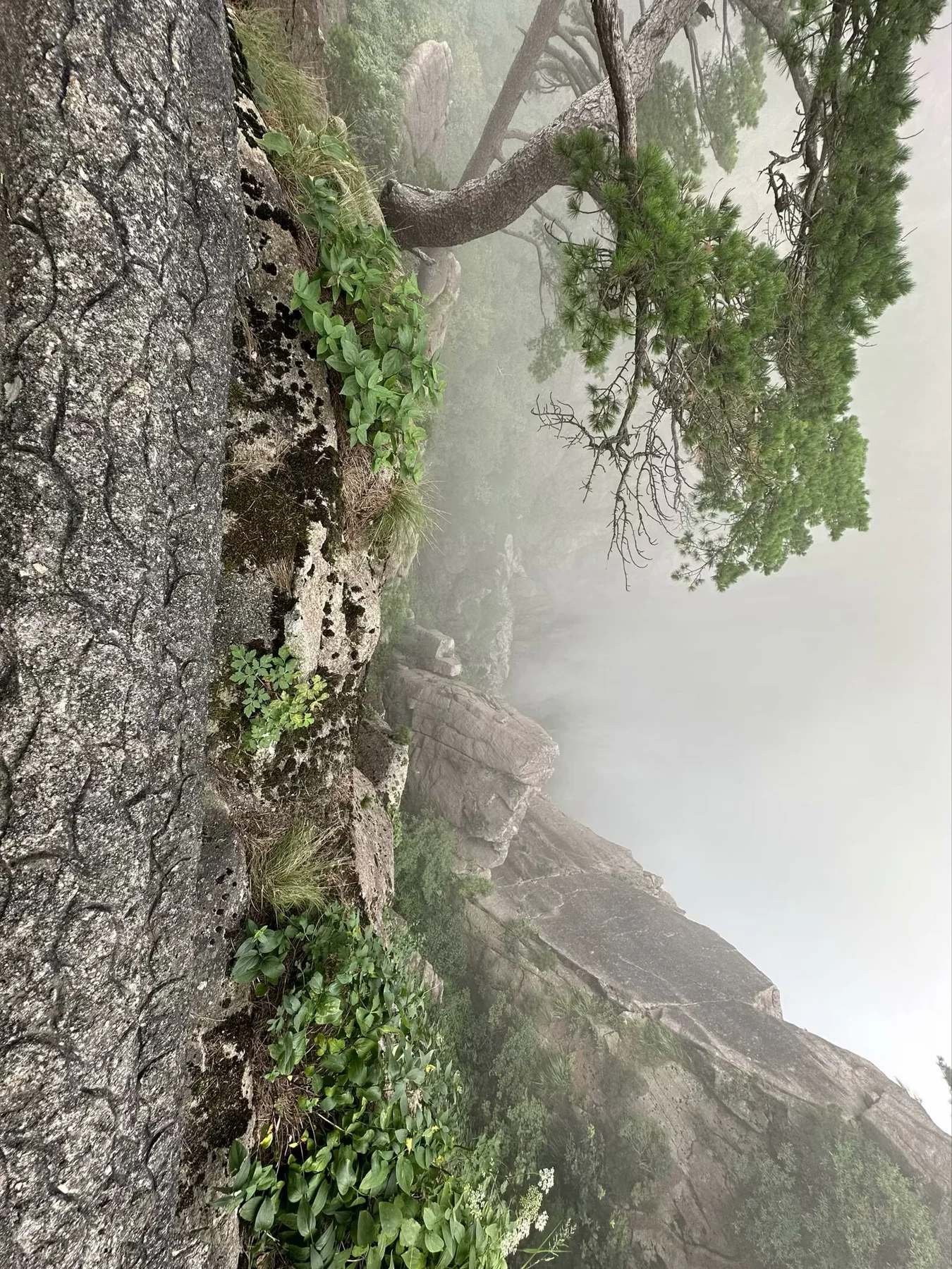 《俯瞰风景》的配图 4