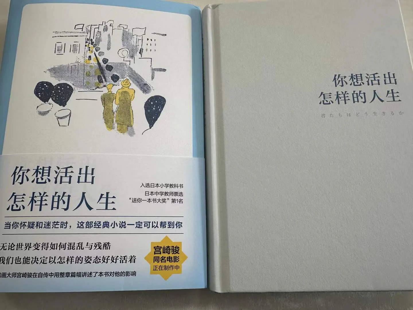 《杀死一只知更鸟》：观看随想的配图 2