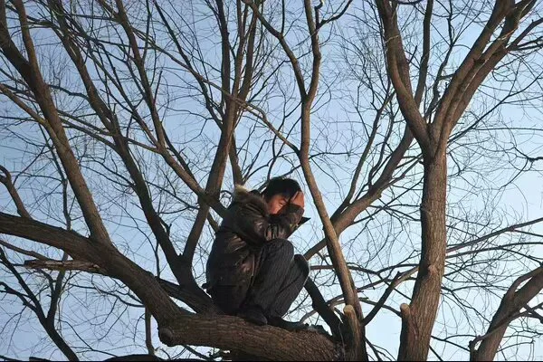 哈喽啊,树哥的配图 3