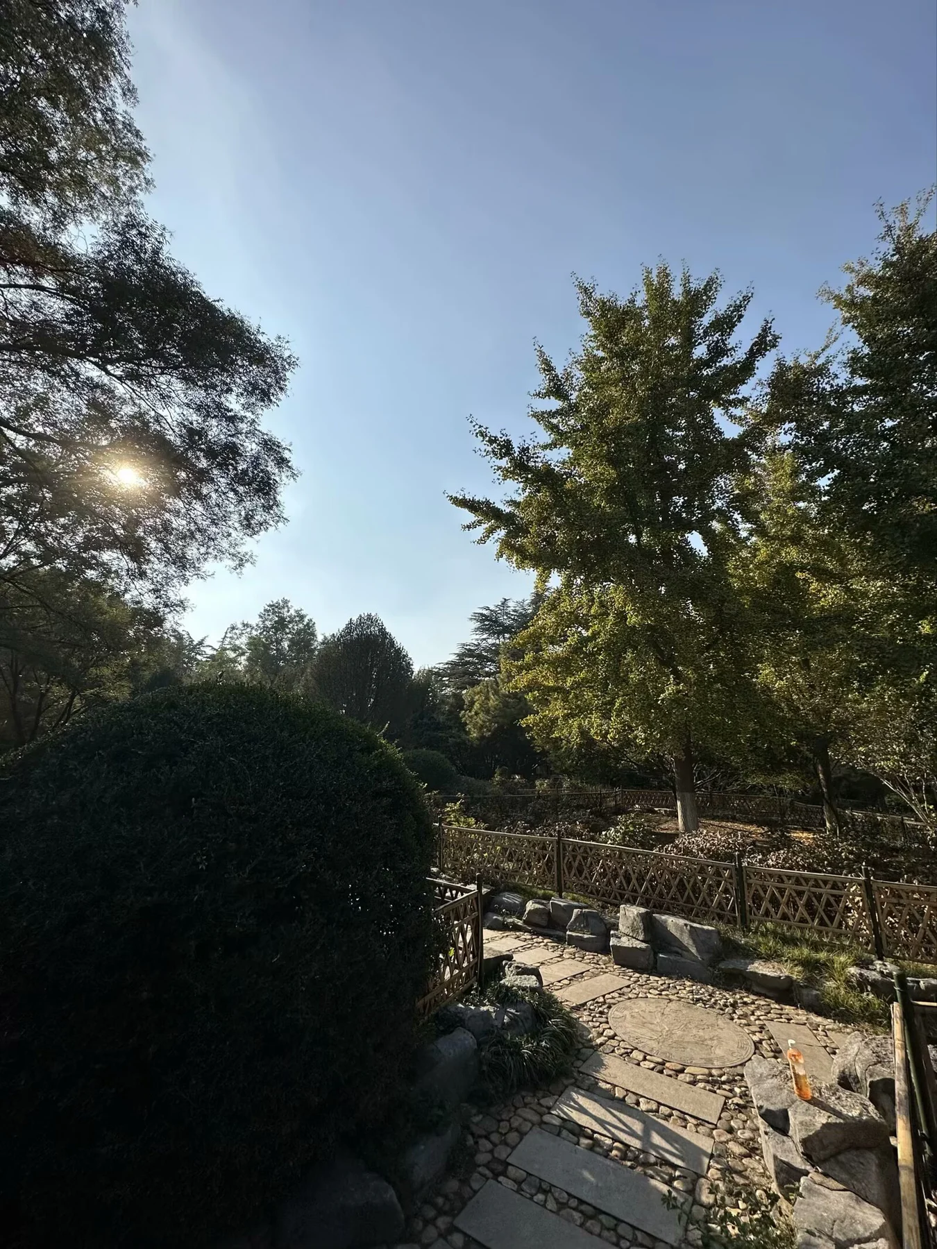 百花公园,get的配图 6