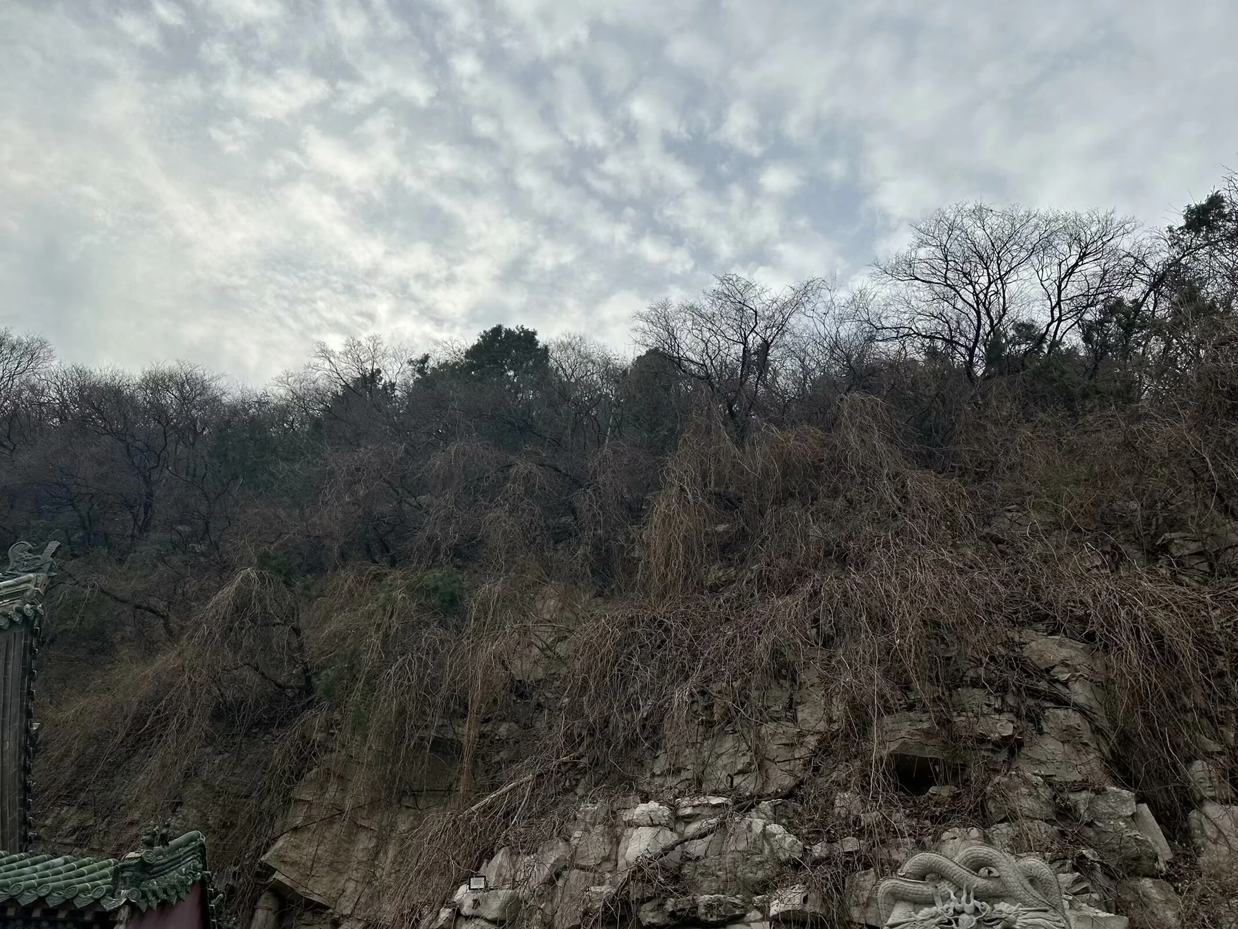 千佛山有万佛的配图 2