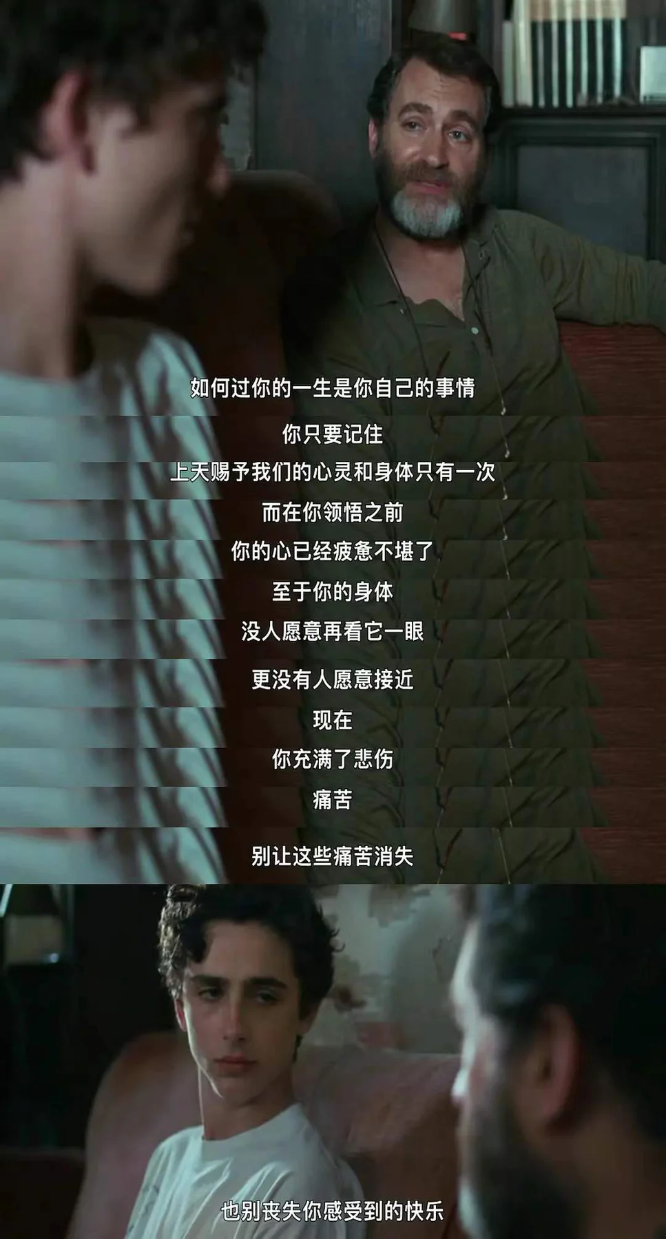 call me by your name 唯一正确的态度...的配图 5