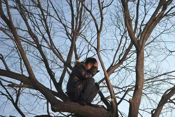 哈喽啊,树哥的配图 5
