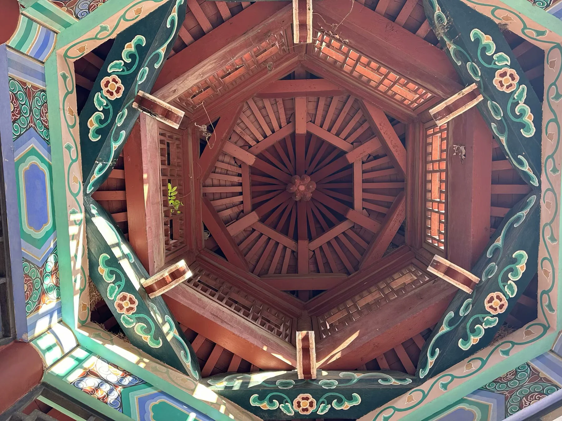 百花公园,get的配图 4